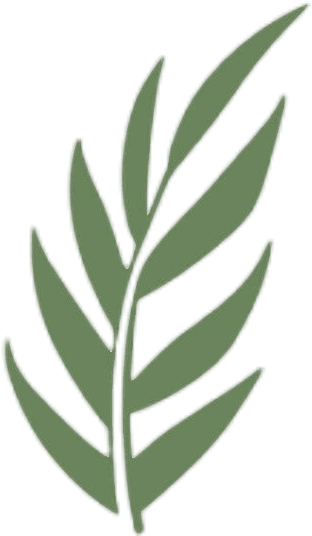 flower graphic