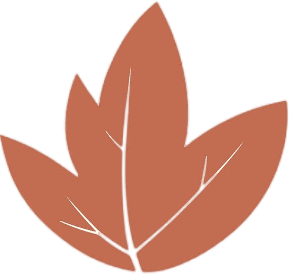 abstract flower